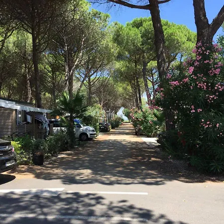 Mobile Ouireves 113 Facing The Mediterranean Sete